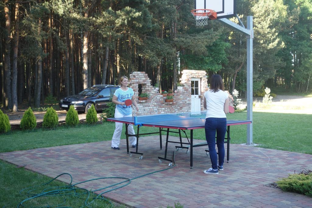 Bednarzowka Villa Nowy Tomyśl Kültér fotó